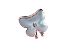 Electric LED Facial Massage Gua Sha